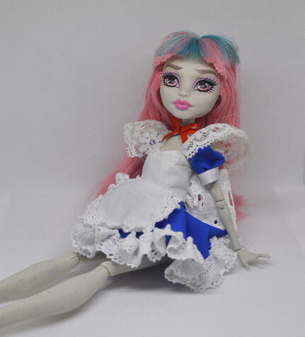 Custom Monster High doll clothes